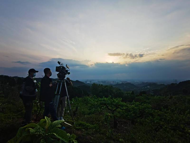 聚焦庐江县产品宣传视频拍摄公司，用专业实力铸就品牌传播传奇