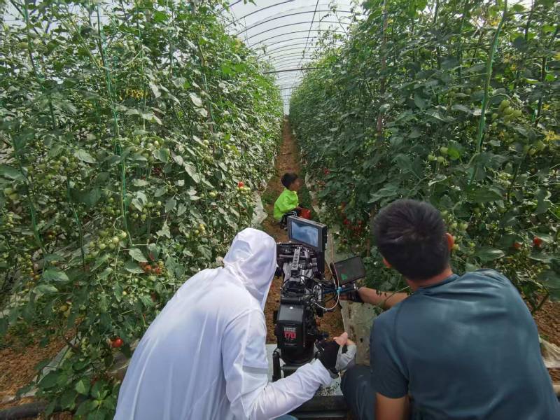 庐江县产品宣传视频拍摄公司进阶指南，助力品牌抢占传播高地